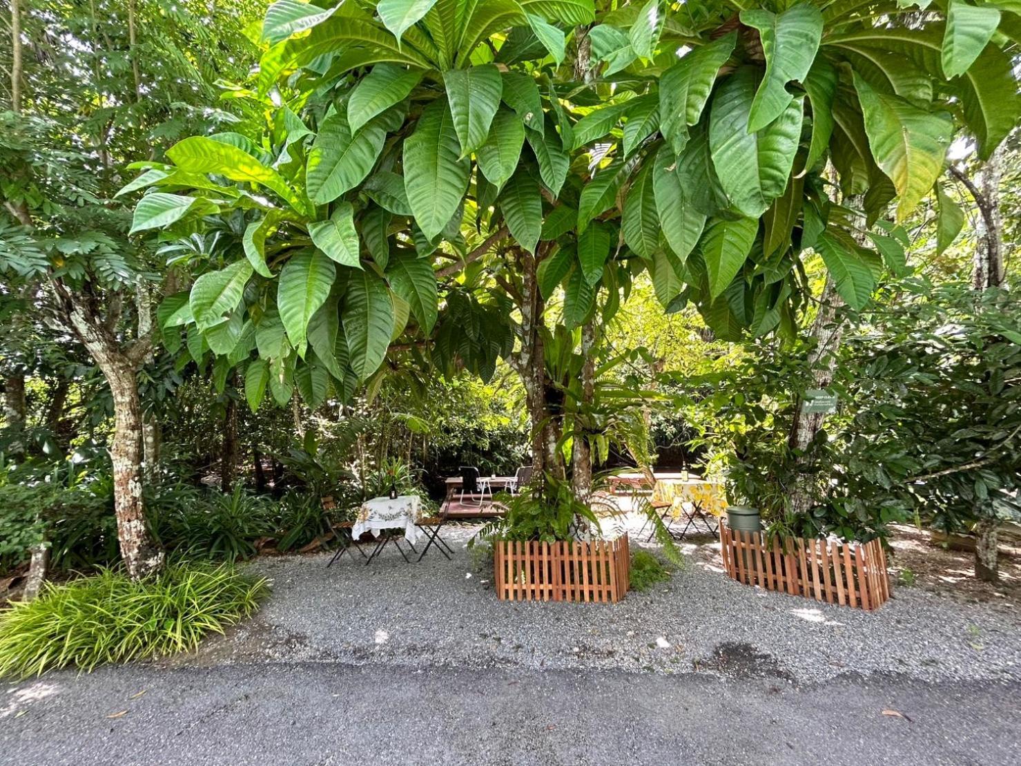 Blu Monkey Pooltara Krabi Hotel & Villas Pet Friendly מראה חיצוני תמונה