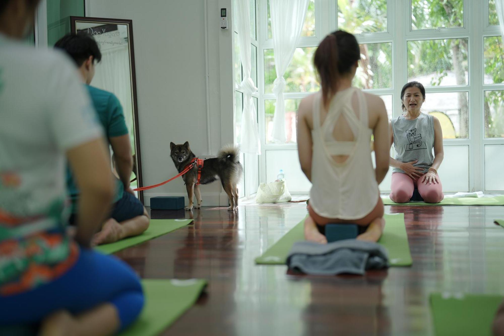 Blu Monkey Pooltara Krabi Hotel & Villas Pet Friendly מראה חיצוני תמונה